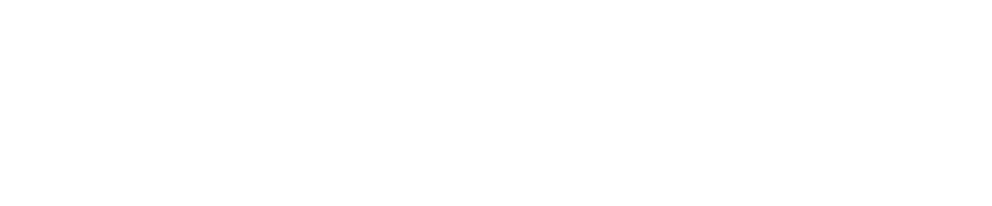 هنر شیعه
